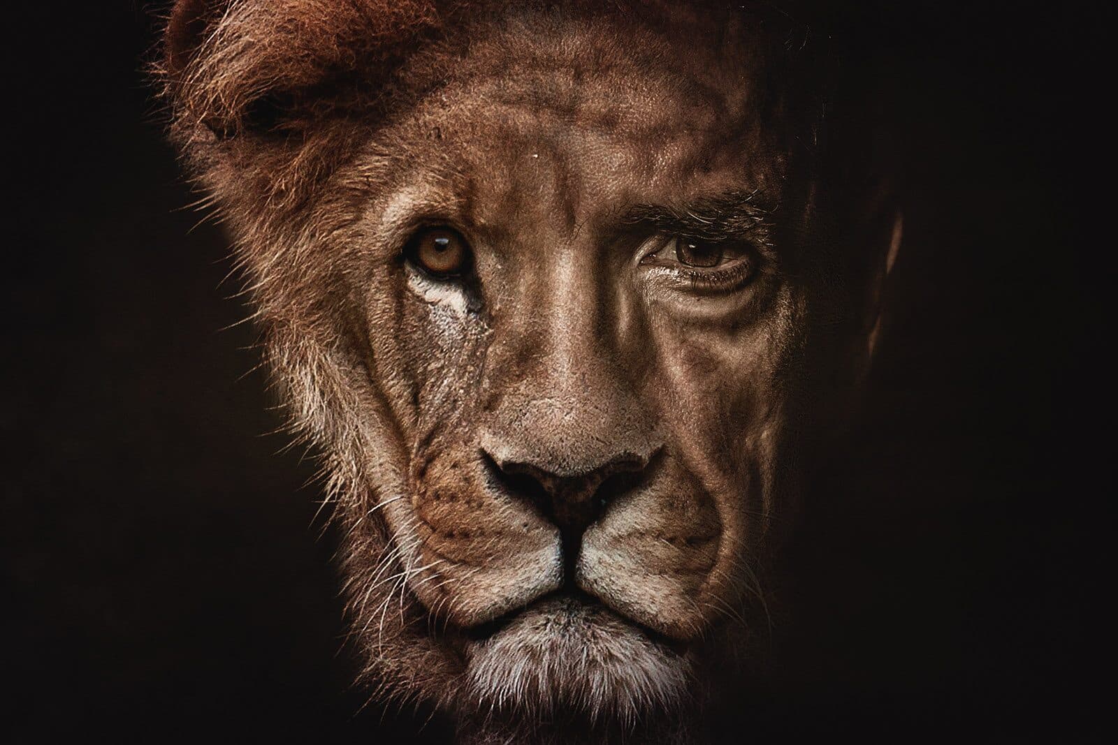 Retrato fine art donde un rostro humano y el de un león se funden en una sola mirada
